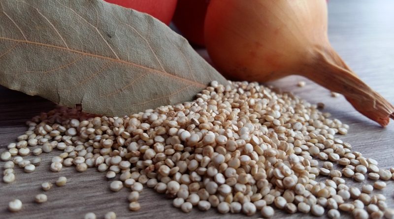 Jak vypěstovat quinou?
